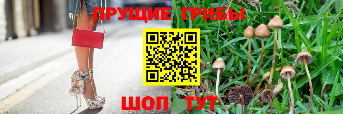 Псилоцибиновые грибы Cubensis Солнечногорск